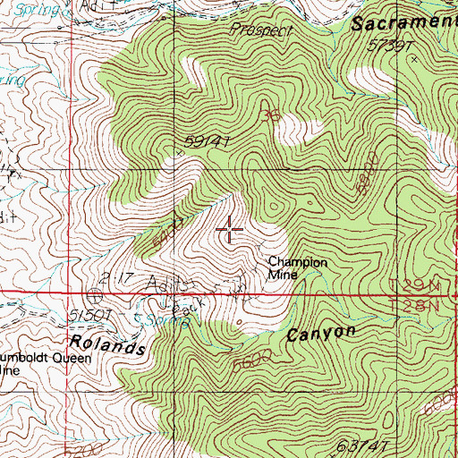 Topographic Map of Champion Mine, NV