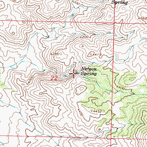 Topographic Map of Nelson Spring, AZ