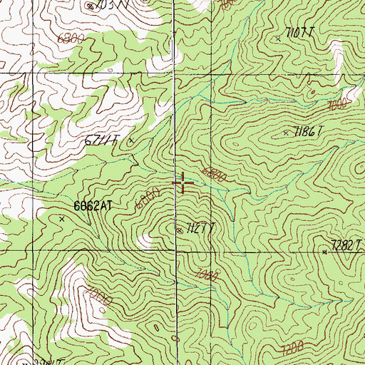 Topographic Map of Trough Spring, NV