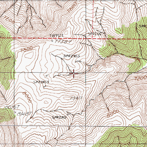 Topographic Map of Yankee Spring, NV