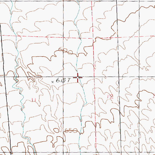 Topographic Map of Bunkerville Township, NV