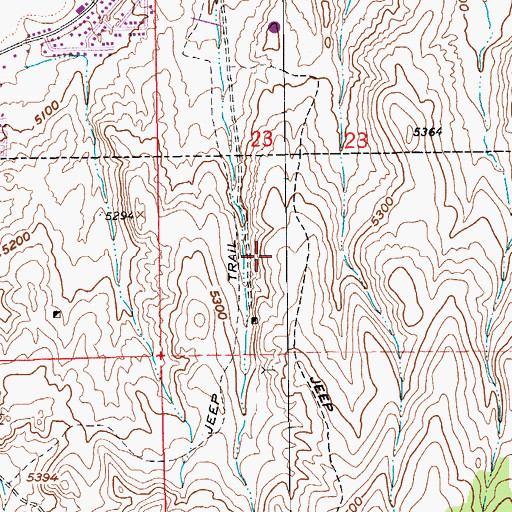 Topographic Map of Elko Township, NV