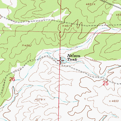 Topographic Map of Nelson Tank, AZ
