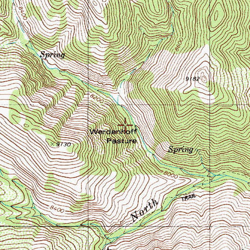 Topographic Map of Werdenhoff Pasture, NV