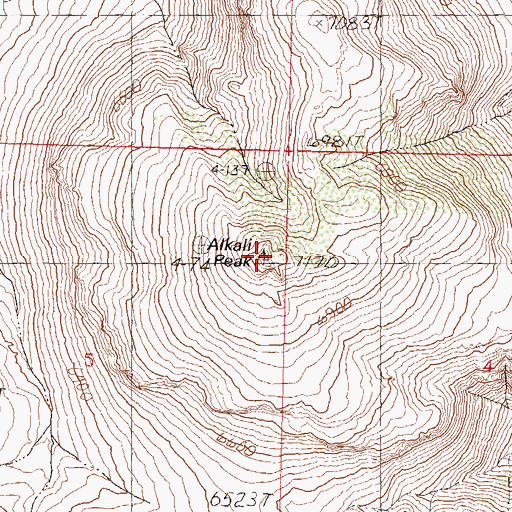 Topographic Map of Alkali Peak, NV