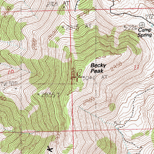 Topographic Map of Becky Peak, NV