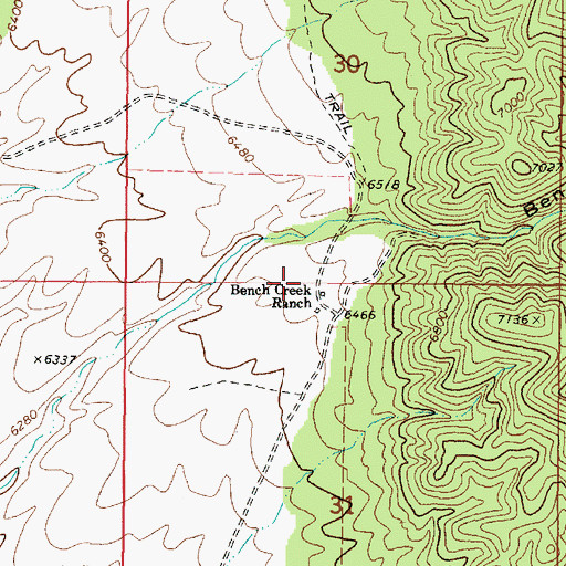 Topographic Map of Bench Creek Ranch, NV