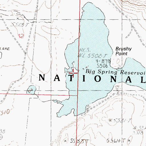 Topographic Map of Big Spring Reservoir, NV