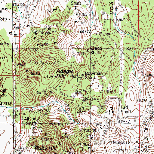 Topographic Map of Bowman Shaft, NV