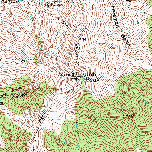 Topographic Map of Job Peak, NV