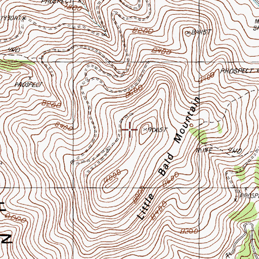 Topographic Map of Little Bald Mountain, NV