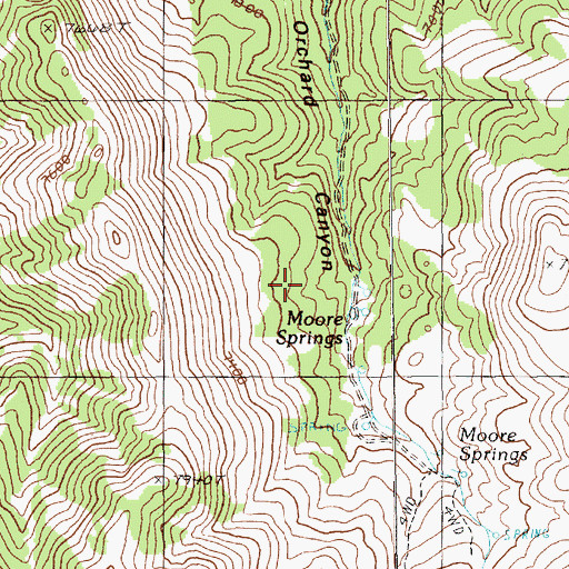 Topographic Map of Moore Springs, NV
