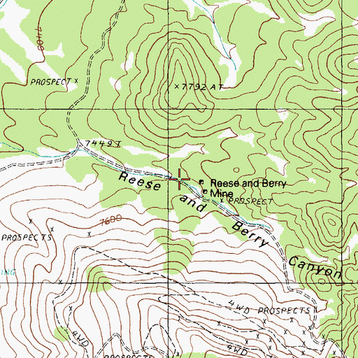 Topographic Map of Reese and Berry Mine, NV