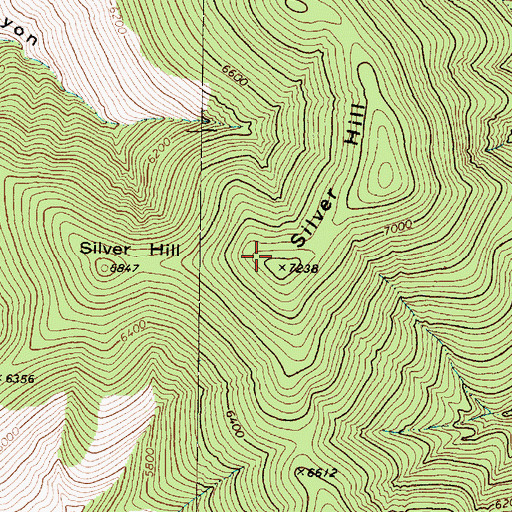 Topographic Map of Silver Hill, NV