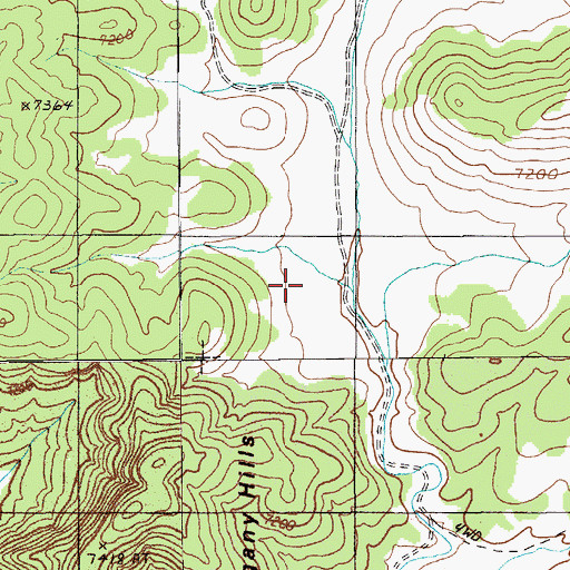 Topographic Map of Spring Valley, NV