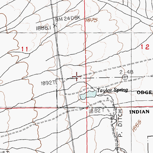 Topographic Map of Taylor Spring, NV