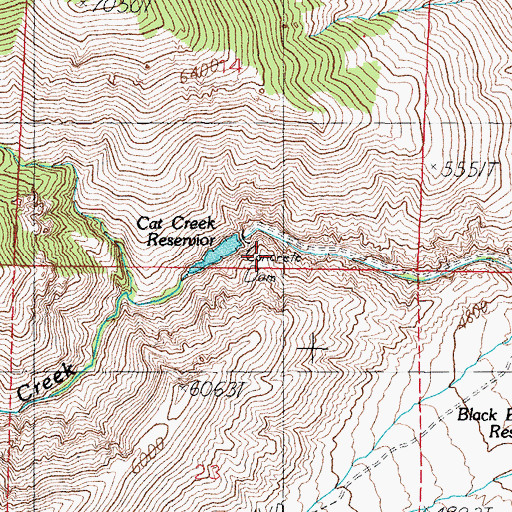 Topographic Map of Cat Creek Reservoir, NV