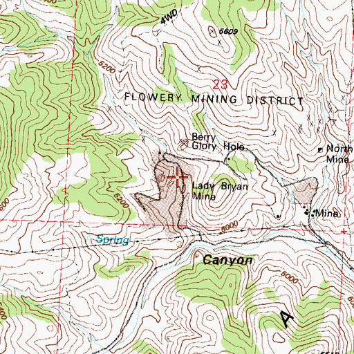 Topographic Map of Flowery Mine, NV