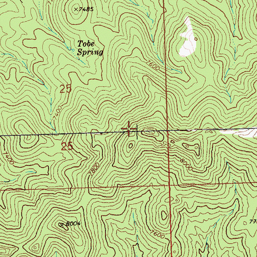 Topographic Map of Needle Mountains, NV