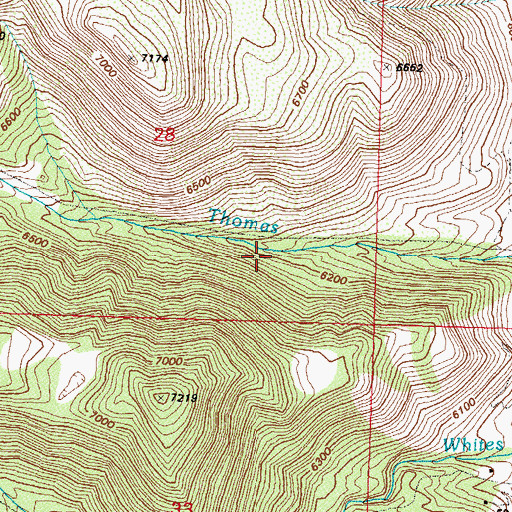 Topographic Map of Thomas Sawmill (historical), NV