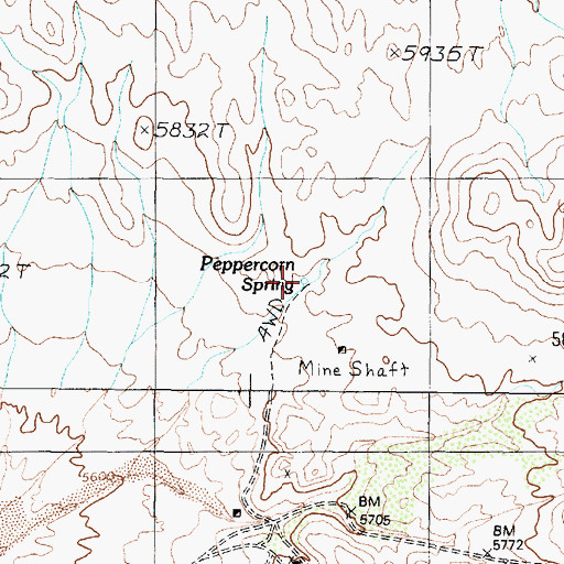 Topographic Map of Peppercorn Spring, NV