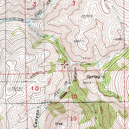 Topographic Map of Steer Canyon, NV