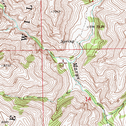 Topographic Map of West Marys River, NV