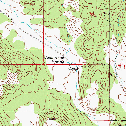 Topographic Map of Ackerman Spring, NV