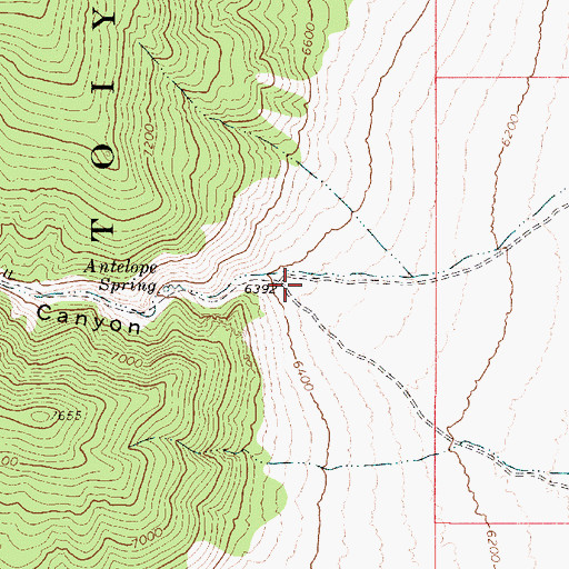 Topographic Map of Antelope Canyon, NV