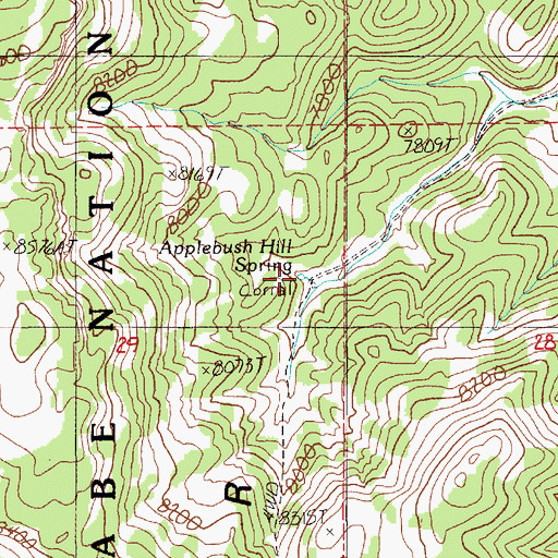 Topographic Map of Applebush Hill Spring, NV