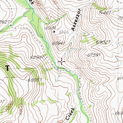 Topographic Map of Assessor Draw, NV