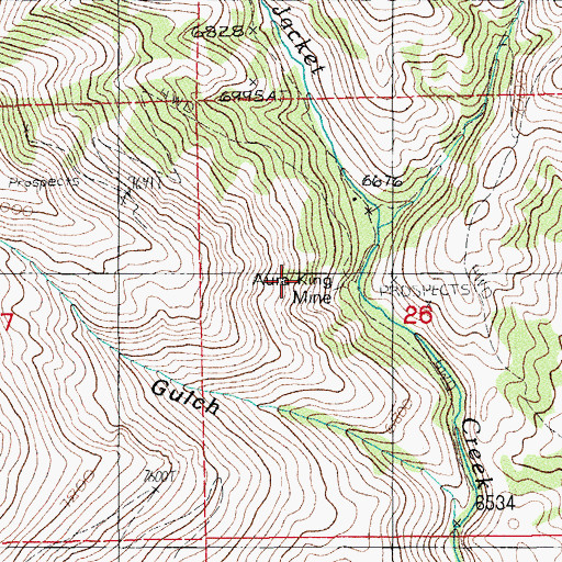 Topographic Map of Aura King Mine, NV