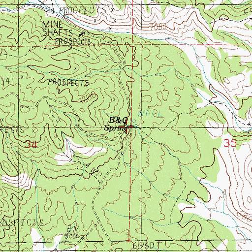 Topographic Map of B and C Spring, NV