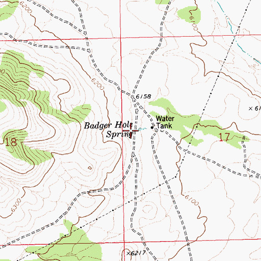 Topographic Map of Badger Hole Spring, NV