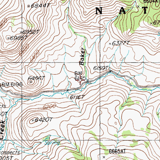 Topographic Map of Baker Creek, NV