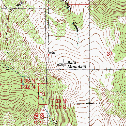 Topographic Map of Bald Mountain, NV