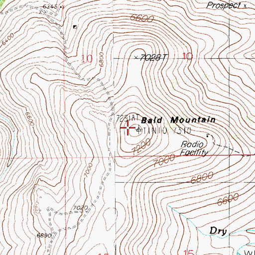 Topographic Map of Bald Mountain, NV