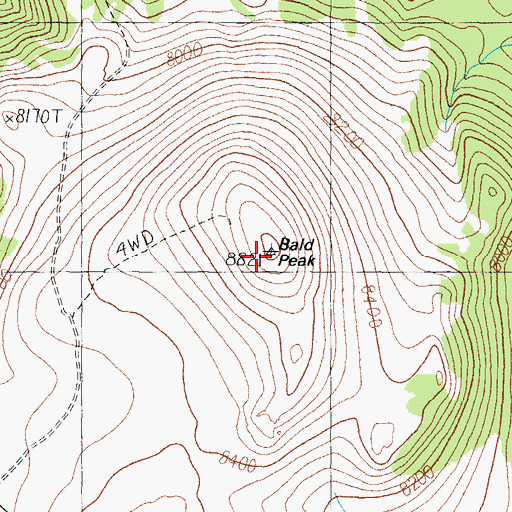 Topographic Map of Bald Peak, NV