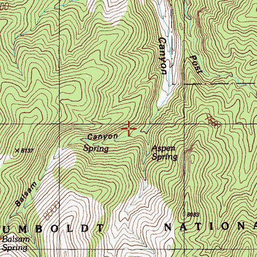 Topographic Map of Balsam Canyon, NV