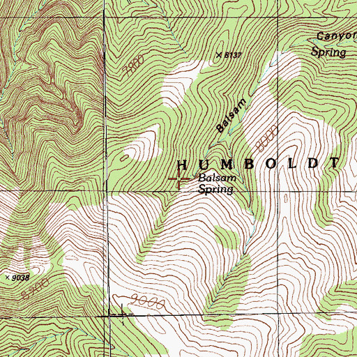 Topographic Map of Balsam Spring, NV