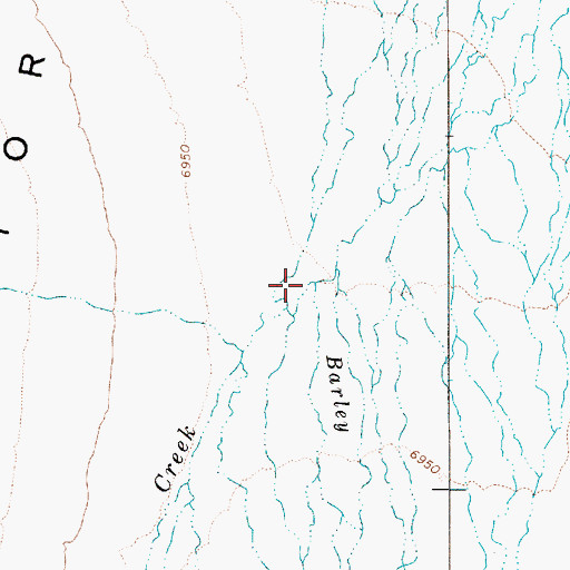 Topographic Map of Barley Creek, NV