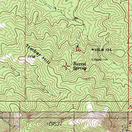 Topographic Map of Barrel Spring, NV