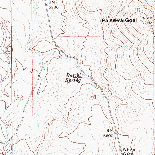 Topographic Map of Barrel Spring, NV