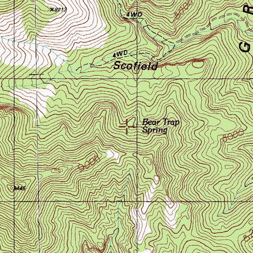 Topographic Map of Bear Trap Spring, NV
