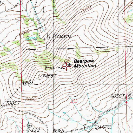 Topographic Map of Bearpaw Mountain, NV