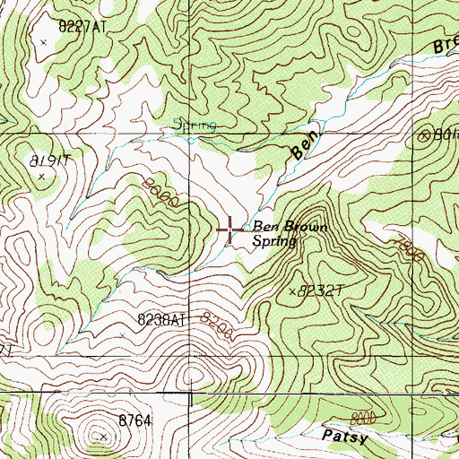 Topographic Map of Ben Brown Spring, NV