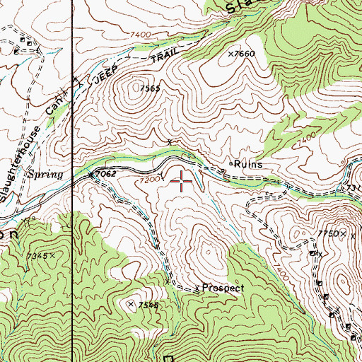 Topographic Map of Berlin Canyon, NV