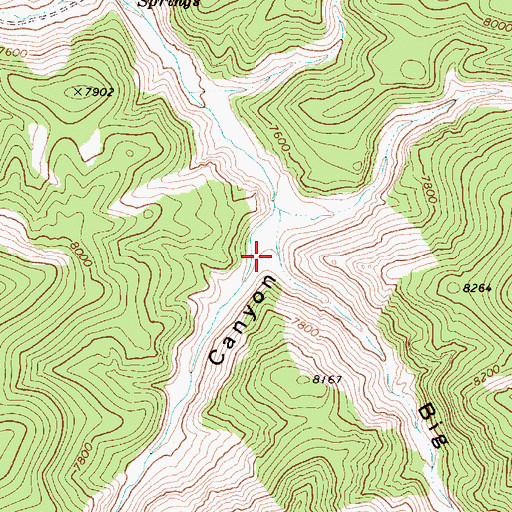Topographic Map of Big Cottonwood Canyon, NV