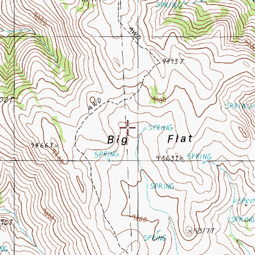Topographic Map of Big Flat, NV