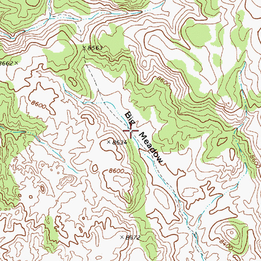 Topographic Map of Big Meadow, NV